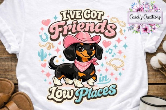 I've Got Friends In Low Places Adult